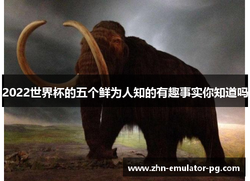 2022世界杯的五个鲜为人知的有趣事实你知道吗