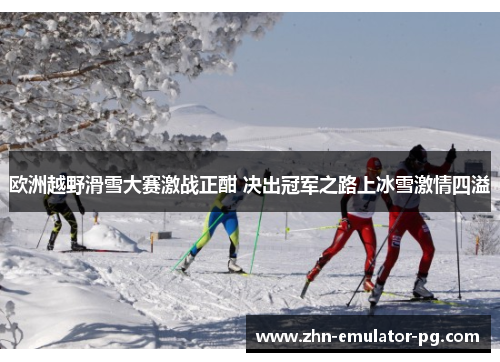 欧洲越野滑雪大赛激战正酣 决出冠军之路上冰雪激情四溢